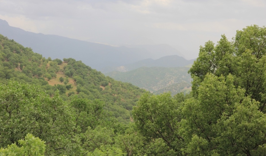 بازدید از محدوده پیشنهادی احداث سد آبخیزداری خیر ساز در شهرستان سیریک