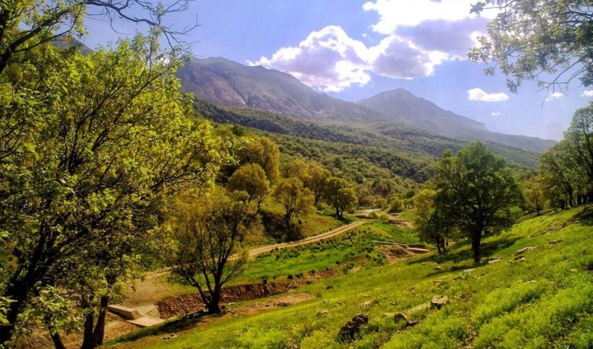 نهالکاری همگانی همزمان باسراسرکشوردرشهرستان بشاگرد