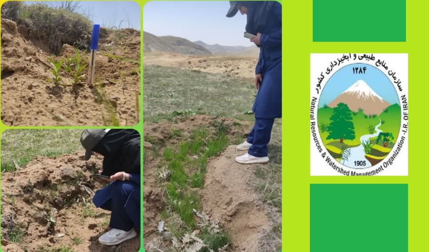 نهالکاری همگانی شهرستان پارسیان‎
