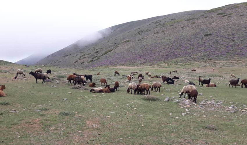 آغاز پی کنی پروژه آبخیزداری از محل اعتبارات صندوق توسعه ملی در میناب