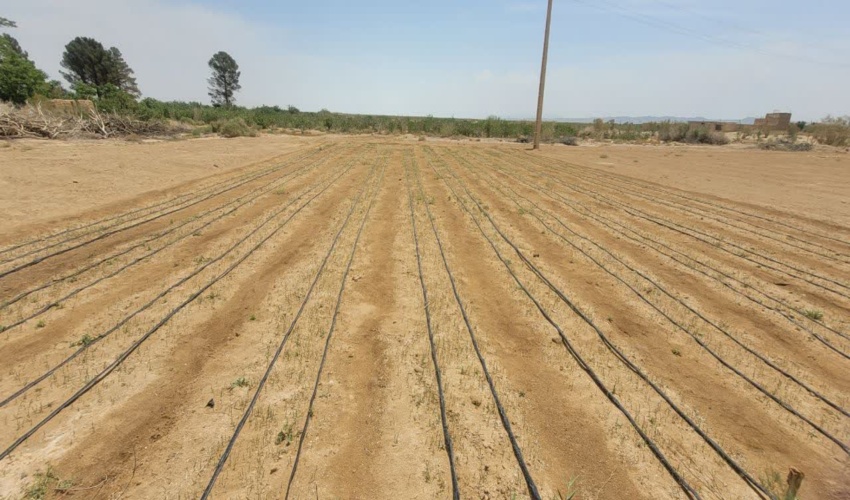 بازدید از روند اجرایی عملیات مکانیکی چاه بنه شهرستان حاجی آباد