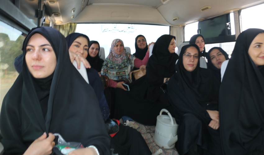 ظرفیت مراتع  هرمزگان خیلی کمتر از تعداد دام است