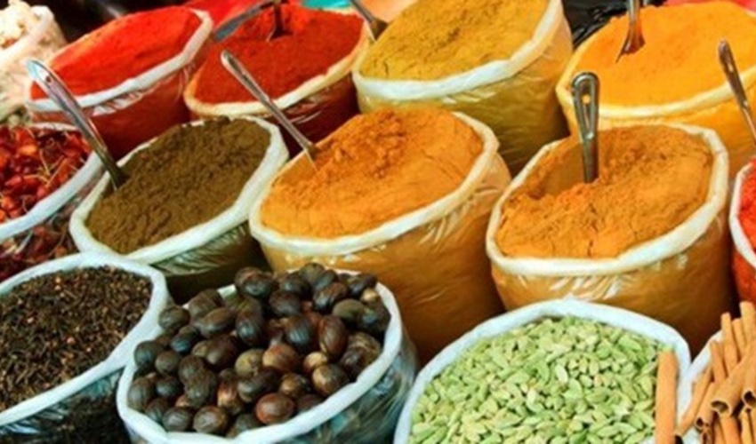  هفدهمین جلسه ستاد ملی مدیریت بوم سازگان زاگرس برگزار شد