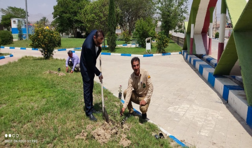 پیشرفت فیزیکی 70 درصدی   پروژه بیابان زدایی احداث  بند و بندسار در شهرستان بندرعباس 