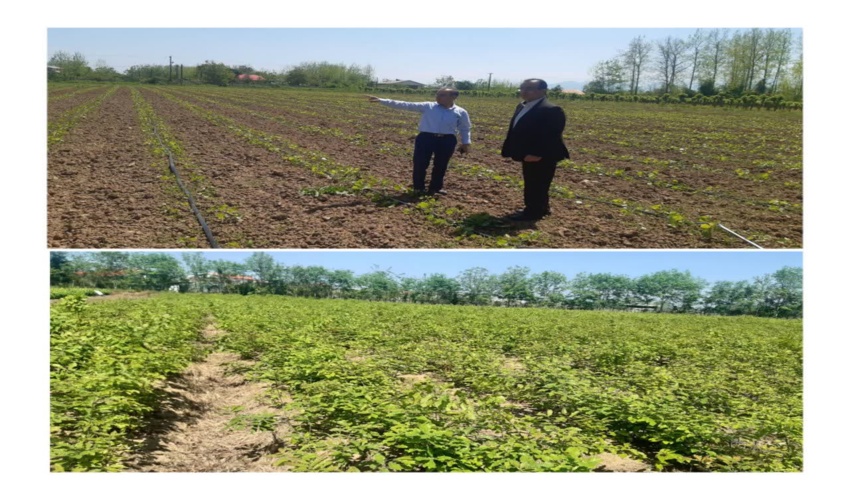 هم اندیشی رییس اداره منابع طبیعی قشم با شورا و دهیاری روستای طولا