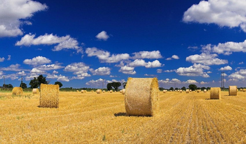 نقشه برداری با شبکه ملی یکپارچه ملک (شمیم) در شهرستان حاجی آباد