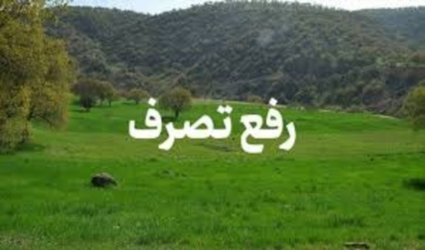رفع تصرف ۳۹۸ هکتار از اراضی ملی در استان هرمزگان/ اعاده بیش از ۱۲ هزار میلیارد ریال به بیت المال
