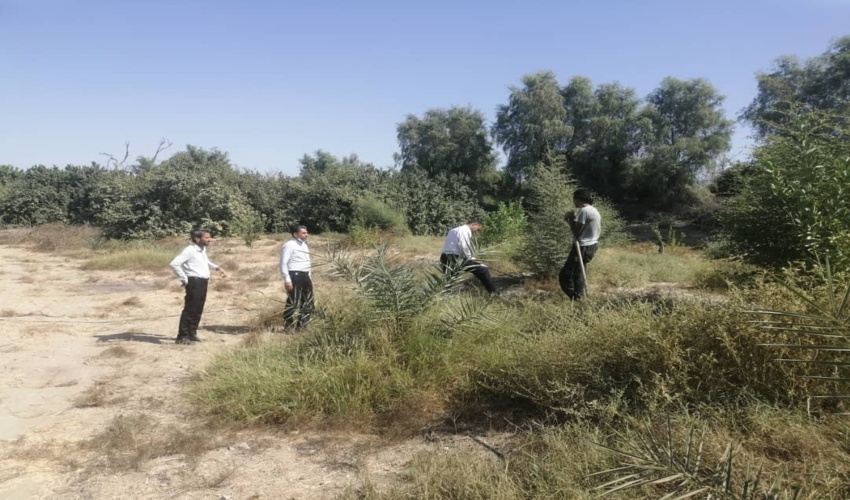 بازدید از پرونده های رفع تداخلات رودان‎‎