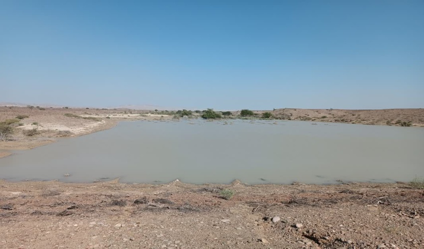 آبگیری سازه های آبخیزداری حوزه سورک شهرستان جاسک در اولین بارش پاییزی