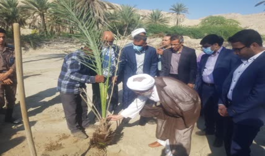 بررسی مسائل و مشکلات مردم بخش فین با حضور امام جمعه بندرعباس و مدیر کل منابع طبیعی استان 