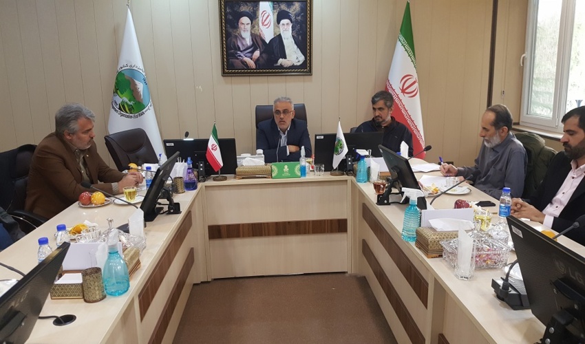 عزم جدی سازمان منابع طبیعی برای تولید و کاشت یک میلیارد نهال