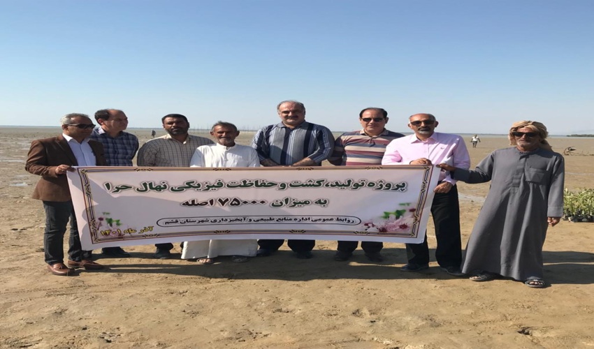 بازدید مدیر کل جنگل های خارج از شمال سازمان از جنگل حرا‎‎  در قشم