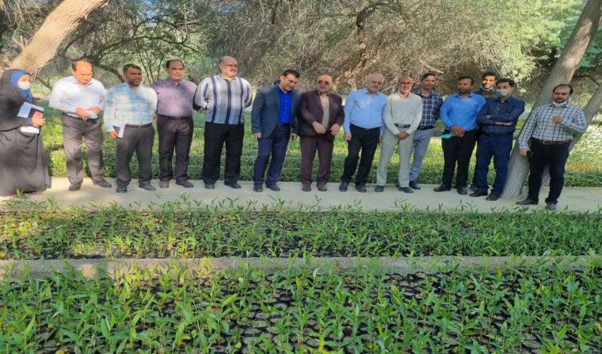 بازدید مشاور رئیس سازمان منابع طبیعی کشور  از نهالستان باغو بندرعباس 