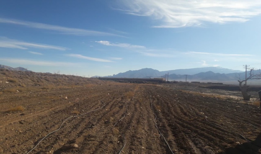 پیام تسلیت مدیرکل منابع طبیعی و آبخیزداری هرمزگان به مناسبت سالروز شهادت سردار سلیمانی