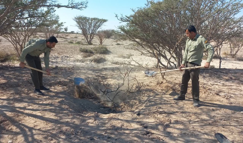 کشف کوره زغال سازی غیر مجاز در بندرخمیر