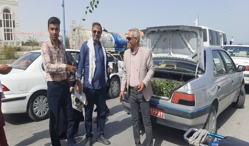 توزیع نهال رایگان به مناسبت دهه فجر  در راهپیمایی 22 بهمن، شهرستان قشم 
