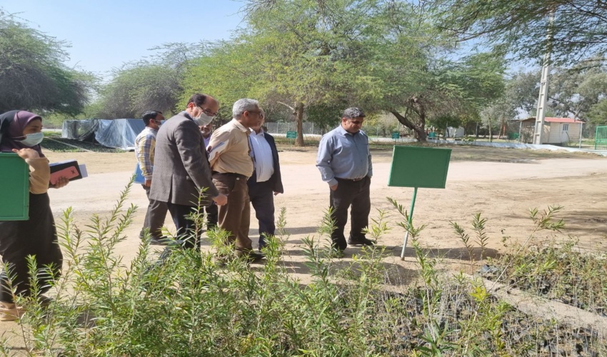 دیدار مدیرکل منابع طبیعی وآبخیزداری با ریاست سازمان مدیریت وبرنامه ریزی هرمزگان 