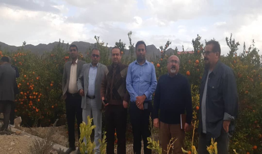 بازدید بازدید معاون و کارشناسان دفتر آموزش ترویج و مشارکتهای مردمی سازمان منابع طبیعی و آبخیزداری کشور از شهرستان حاجی آباد
