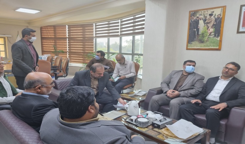 سالانه ۶ میلیون نهال در منابع طبیعی تولید می شود