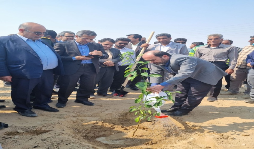 تغییرزمان کاشت درخت در هرمزگان /کاشت ۱۵۰ هزار اصله نهال در هفته درختکاری در سراسر استان