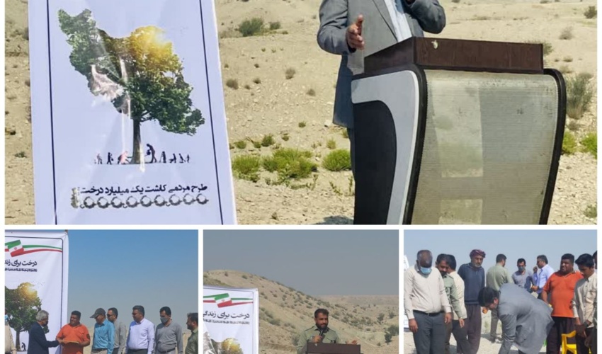 2 هزار اصله نهال در شهرستان بندرخمیر کاشته شد