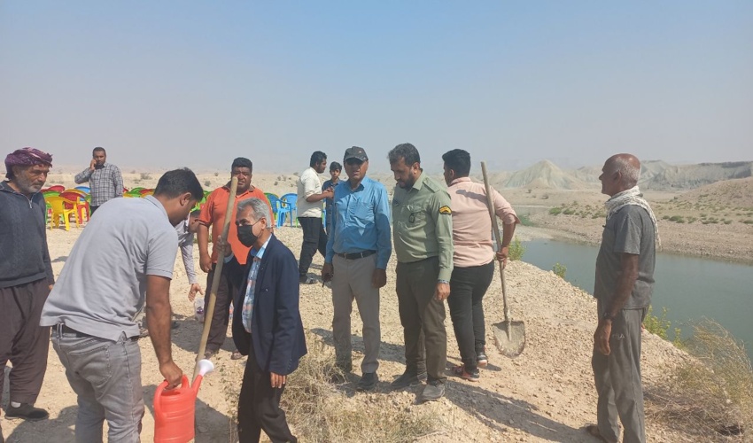  مشارکت در توسعه فضای سبز را یک وظیفه همگانی است.