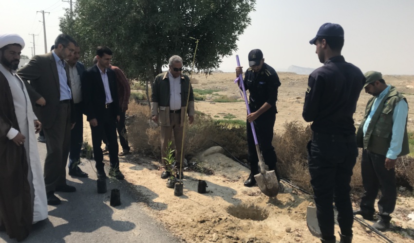 کاشت نهال در ندامتگاه ، شهرستان قشم
