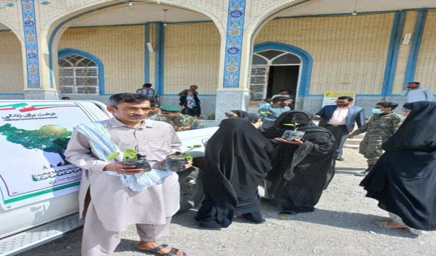 توزیع نهال رایگان بین نمازگزاران شهرستان جاسک به مناسبت هفته منابع طبیعی و آبخیزداری