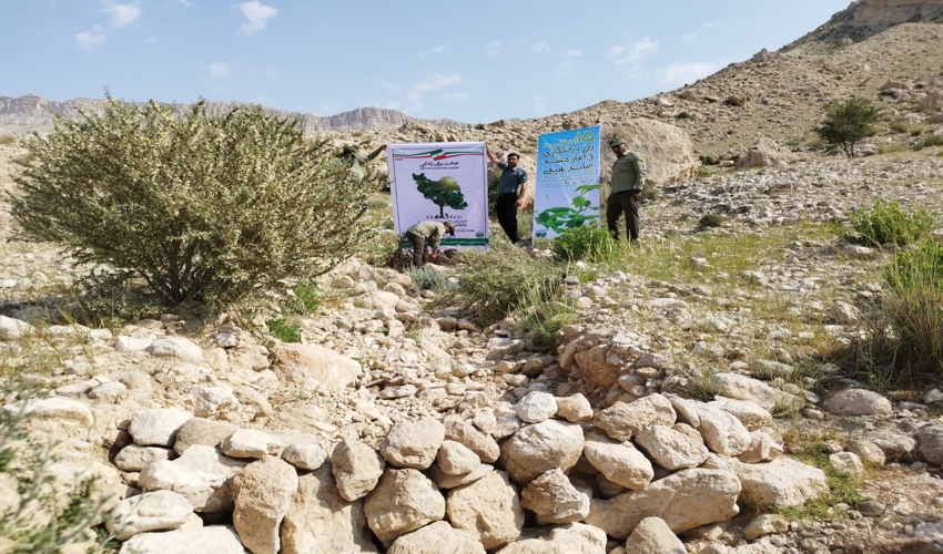 اجرای عملیات آبخیزداری خشکه چین در شهرستان پارسیان 