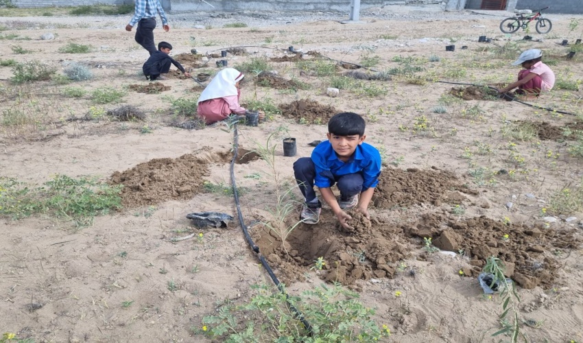 كاشت 900اصله نهال در روستای برتمب     