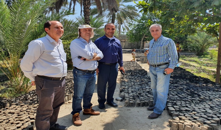 بازدید ناظران کشوری طرح مردمی کاشت یک میلیارد نهال از میناب