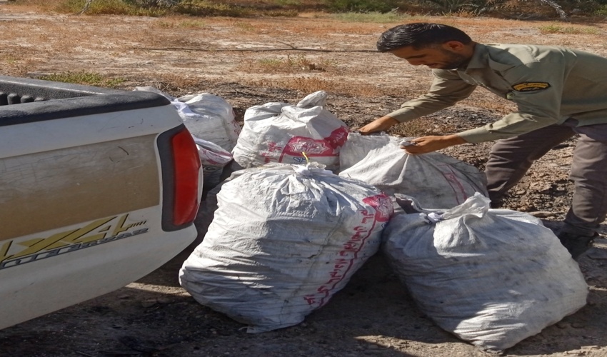 200کیلوگرم ذغال قاچاق در چاه مسلم کشف شد