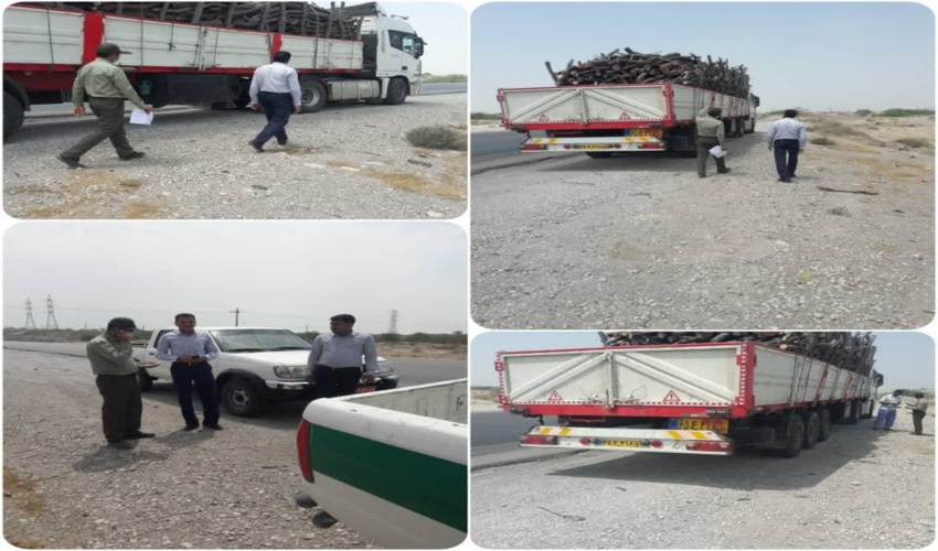 محموله های حمل چوب  در جاده های مواصلاتی شهرستان بندرعباس کنترل و بررسی شد 