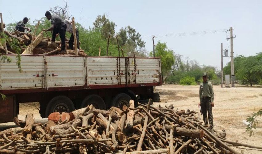 بندرعباس / توقیف محموله چوب غیر مجاز به میزان ۲۵تن در جاده های مواصلاتی شهرستان بندرعباس   