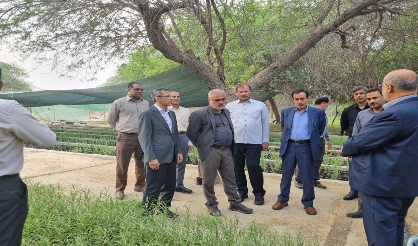 هرمزگان پیشرو در تولید نهال است 