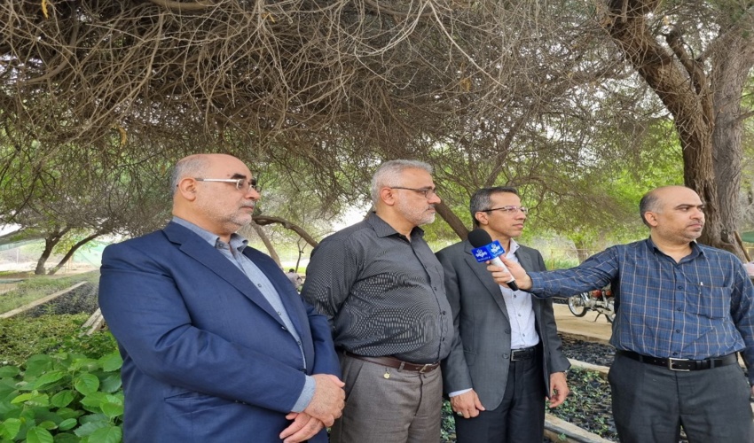 رییس سازمان منابع طبیعی: طرح نهال‌کاری از برنامه زمانبندی جلوتر است