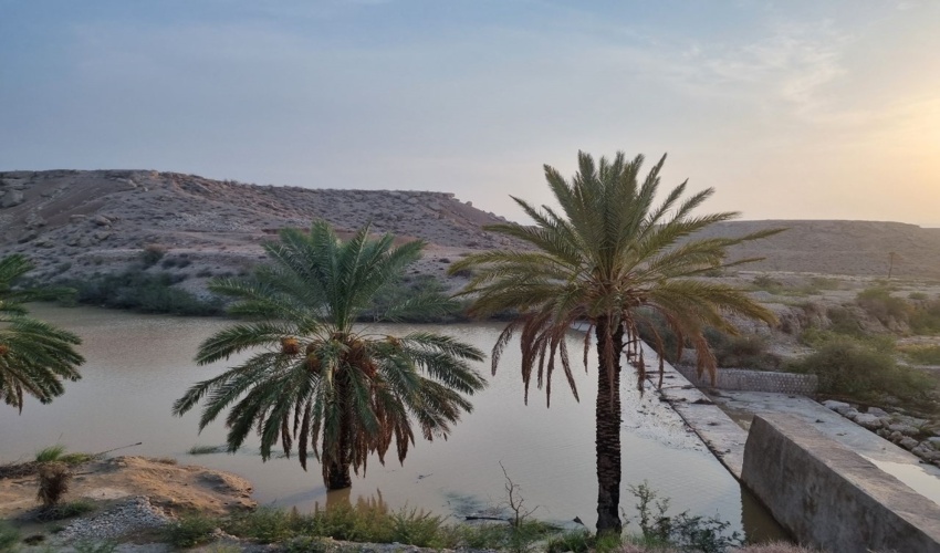 معاون آبخیزداری منابع طبیعی هرمزگان خبر داد: آبگیری بیش از 5میلیون مترمکعبی سازه های آبخیزداری در حاجی آباد 