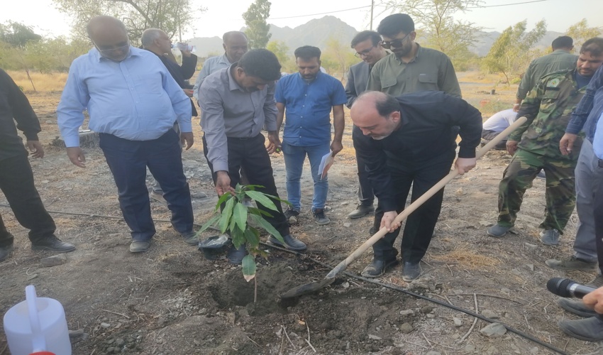 آغاز عملیات کاشت ۱۰۰ هزار درخت به مناسبت هفته دولت  در شهرستان رودان