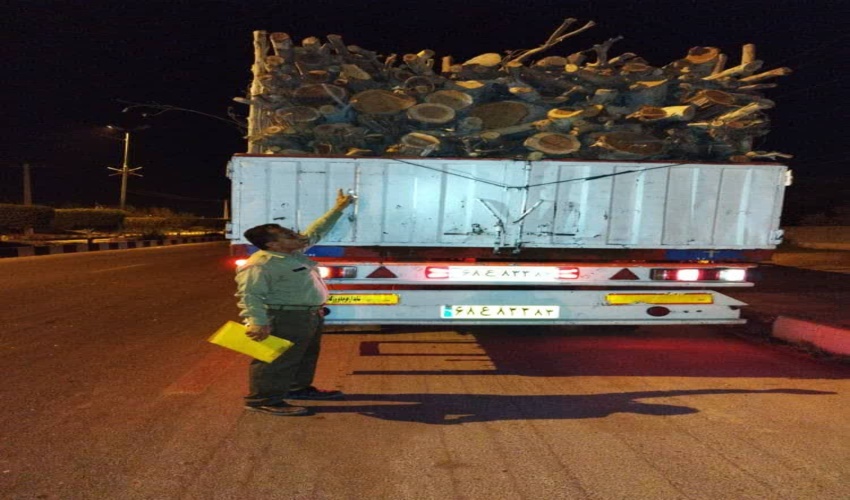 کنترل محموله های چوب در جاده های مواصلاتی شهرستان بندرلنگه