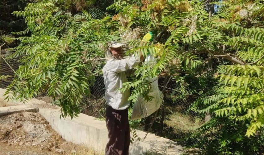بررسی گزارشات واصله و کنترل اراضی در منطقه باوردان بخش شیبکوه شهرستان بندرلنگه 