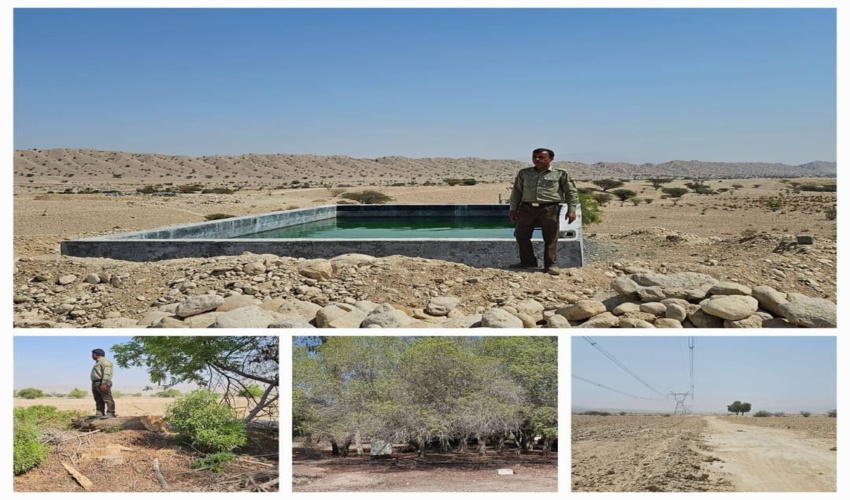 گشت و پایش اراضی ملی منطقه کهورستان شهرستان بندرخمیر 