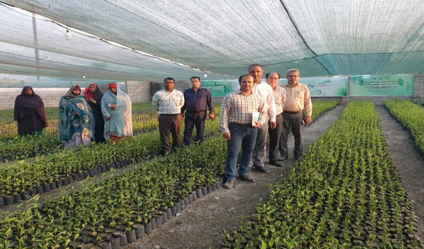 بازدید ناظر کشوری طرح مردمی کاشت یک میلیارد نهال از نهالستان های بخش خصوصی در میناب