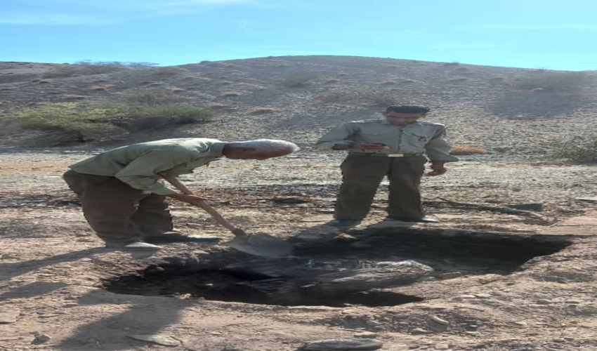 انهدام دو باب کوره ذغال غیرمجاز در شهرستان رودان