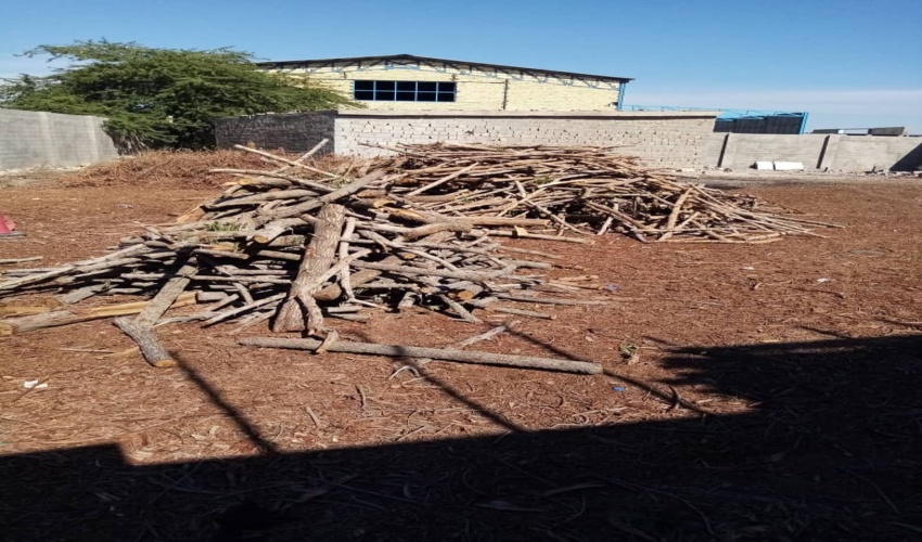 مسدود کرن مسیر جنگل حرا جهت حفظ جنگل و حیات وحش منطقه در جزیره هرمز 