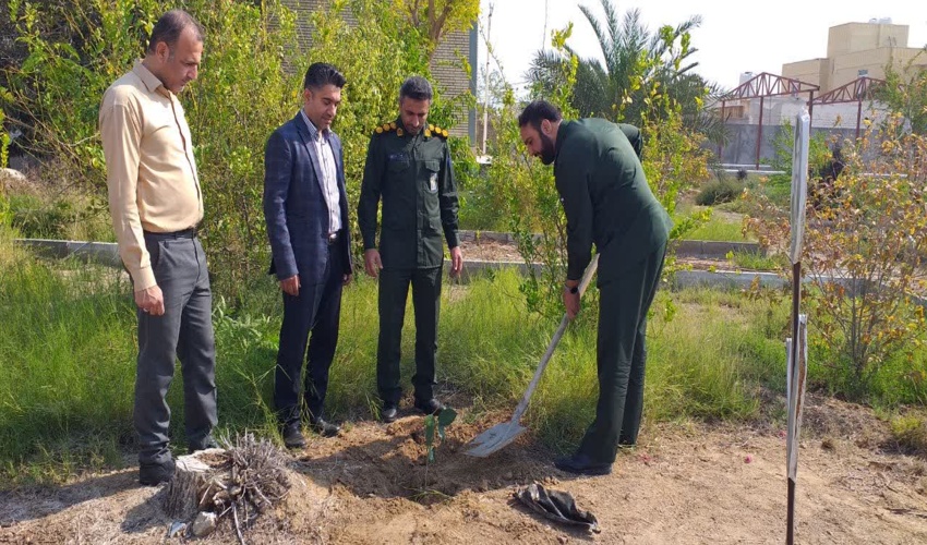 پویش درختکاری بمناسبت نیمه شعبان در بندرلنگه