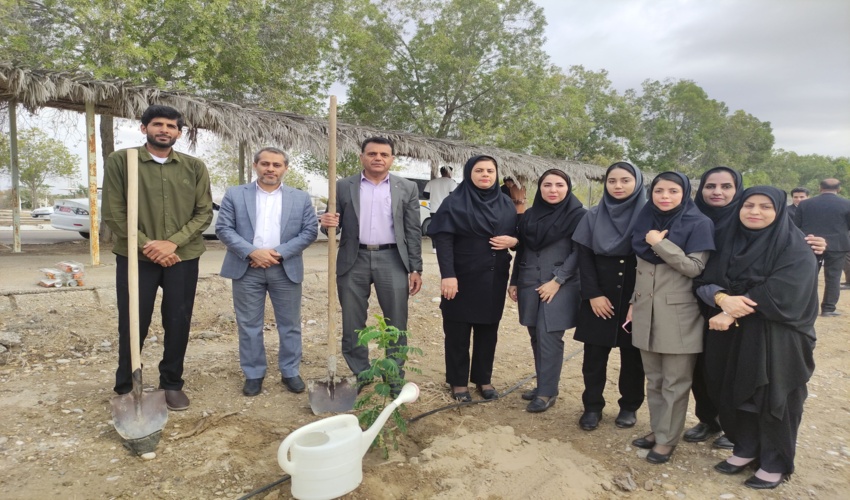 کاشت هزار اصله نهال در دانشگاه هرمزگان با حضور رییس و کارکنان اداره منابع طبیعی بندرعباس  با شعار منابع طبیعی با مشارکت مردم برای مردم 