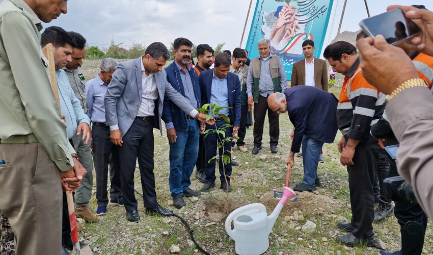 کاشت ۲۵۰ اصله نهال به مناسبت روز درختکاری در شهرستان رودان
