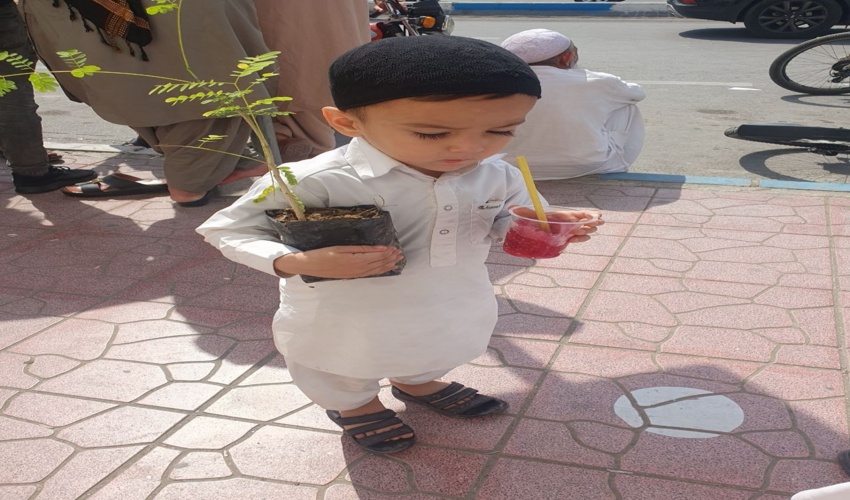 توزیع رایگان نهال در مسجد جامع بندرعباس 