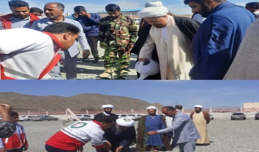 کاشت ۴۰۰ اصله نهال توسط طلاب حوزه علمیه در بشاگرد