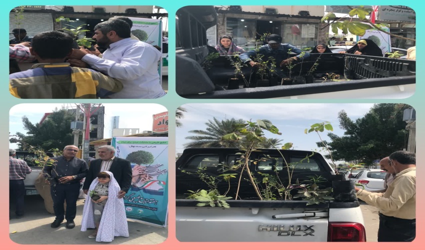 توزیع نهال رایگان در نماز جمعه بین نمازگزاران در شهرستان قشم